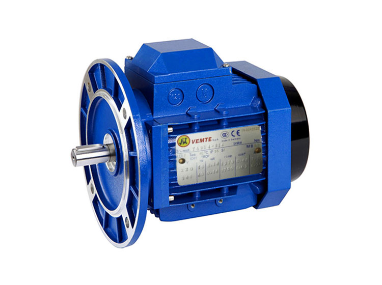 單相電機(jī) VEMT步進(jìn)電機(jī) 單相電機(jī) VEMT步進(jìn)電機(jī)