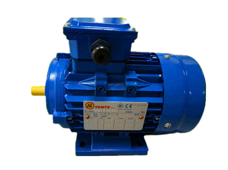 交流電機(jī) VEMT鋁殼電機(jī) 交流電機(jī) VEMT鋁殼電機(jī)